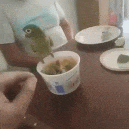 Daily Gifdump Daily Gifdump