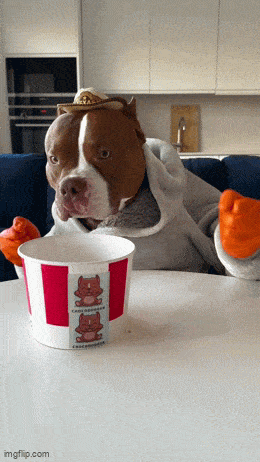 Daily Gifdump Daily Gifdump