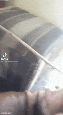 Daily Gifdump Daily Gifdump