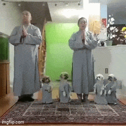 Daily Gifdump Daily Gifdump