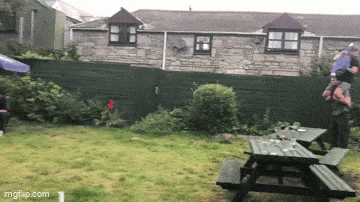 Daily Gifdump Daily Gifdump