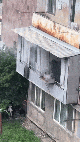 Daily Gifdump Daily Gifdump