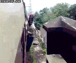 Daily Gifdump Daily Gifdump