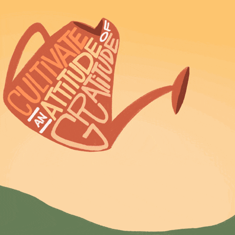 Just Some Wholesome Random Facts to Brighten Your Day