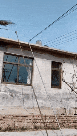 Office Chaos Doesn’t Take Mondays Off