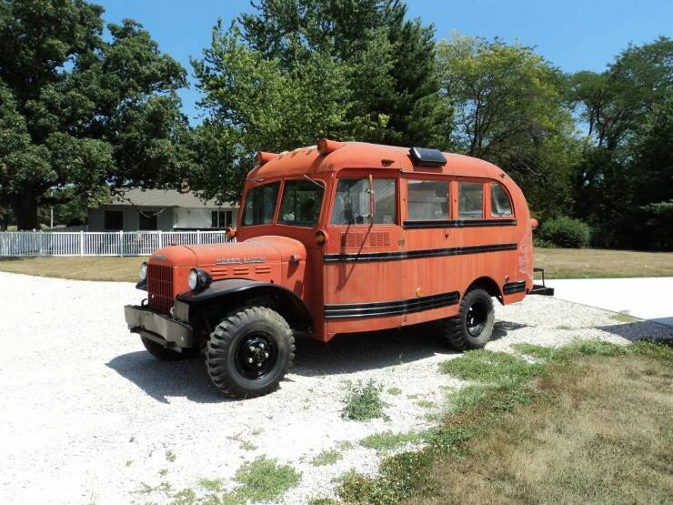 Daily Picdump Daily Picdump