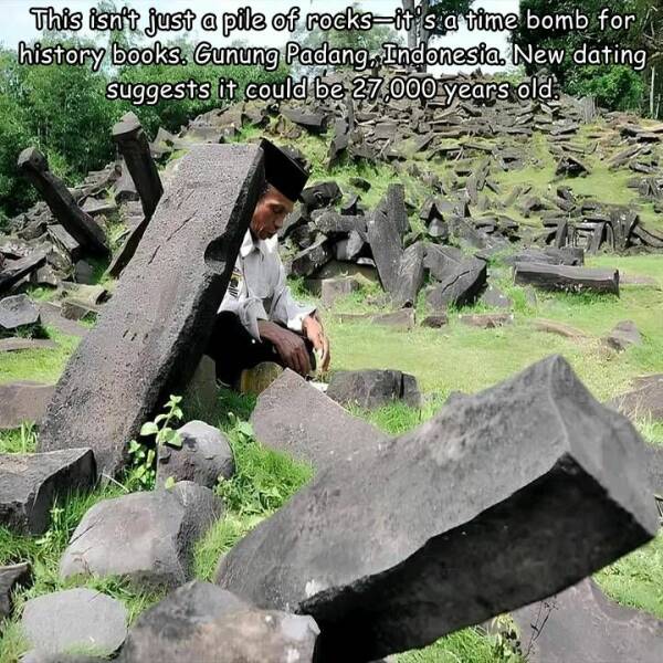 Daily Picdump Daily Picdump