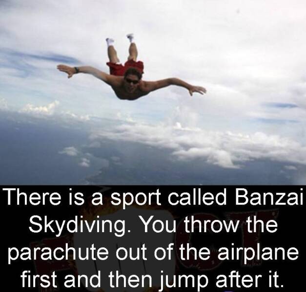 Daily Picdump Daily Picdump