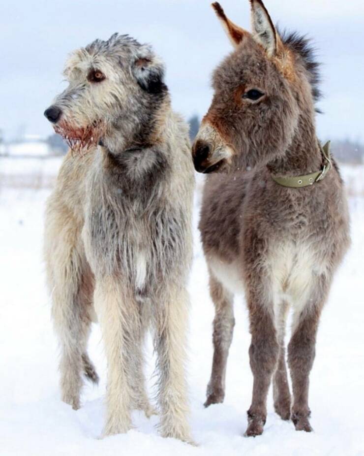 Daily Picdump Daily Picdump