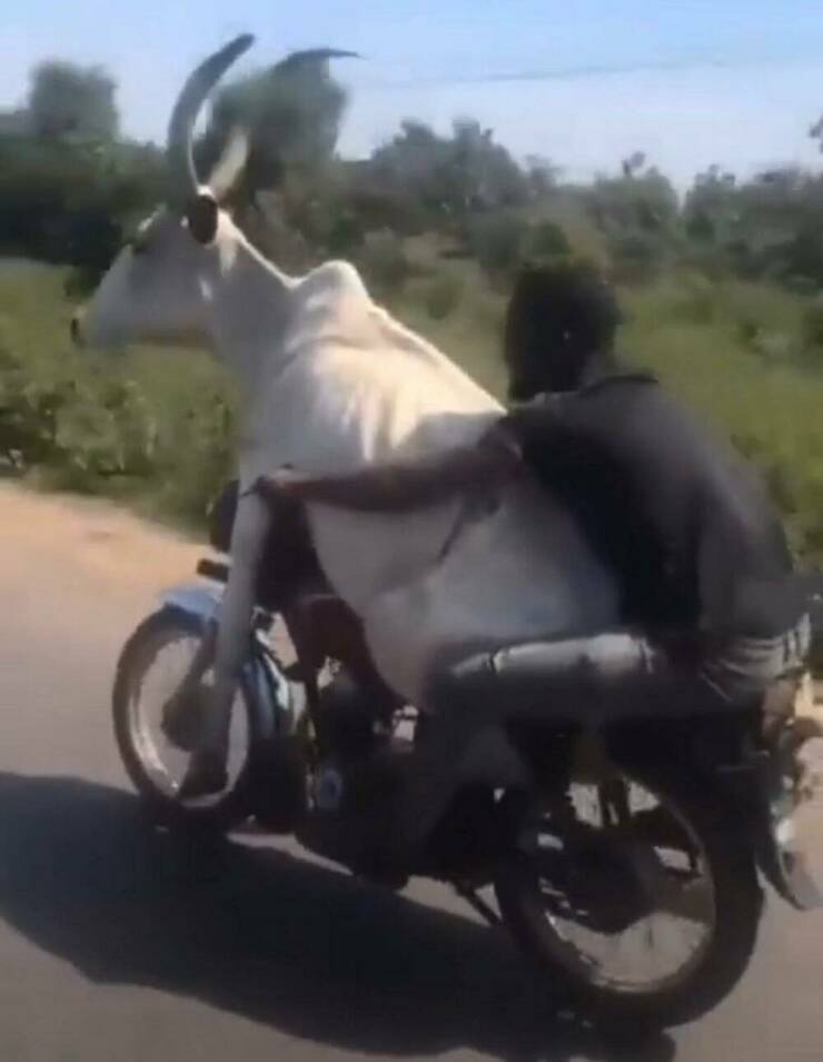 Daily Picdump Daily Picdump