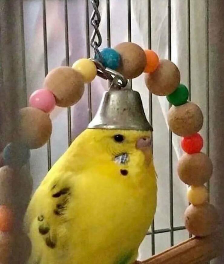 Daily Picdump Daily Picdump