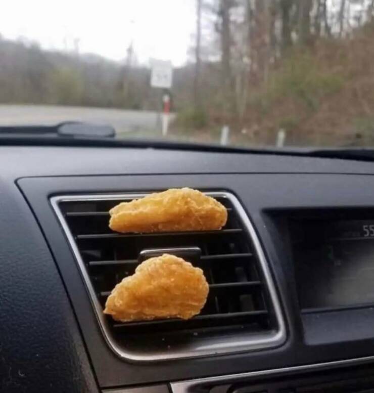 Daily Picdump Daily Picdump