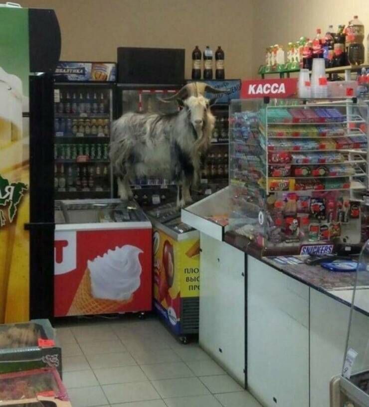 Daily Picdump Daily Picdump