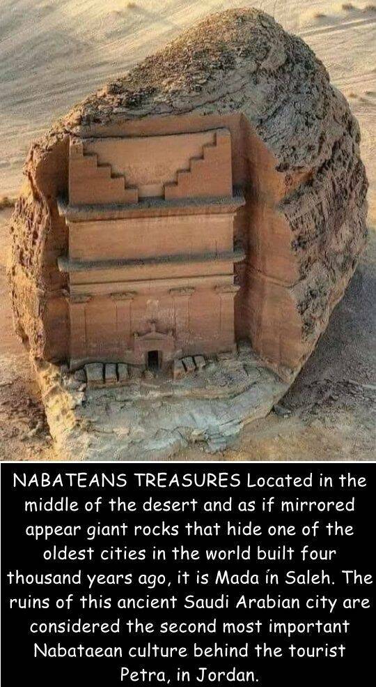 Daily Picdump Daily Picdump