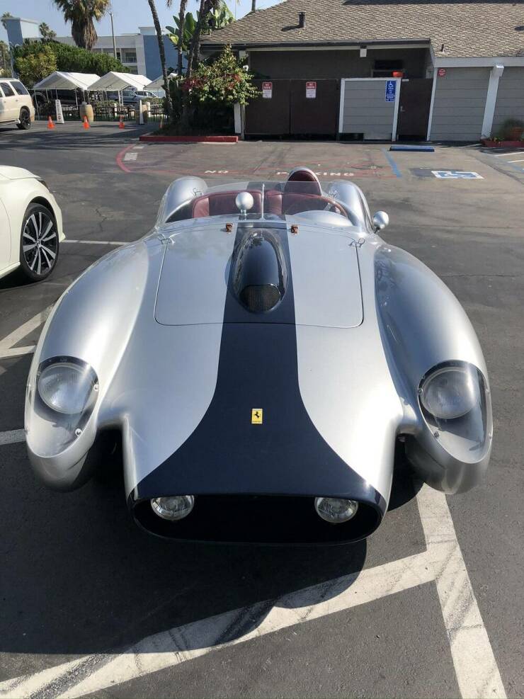 Daily Picdump Daily Picdump