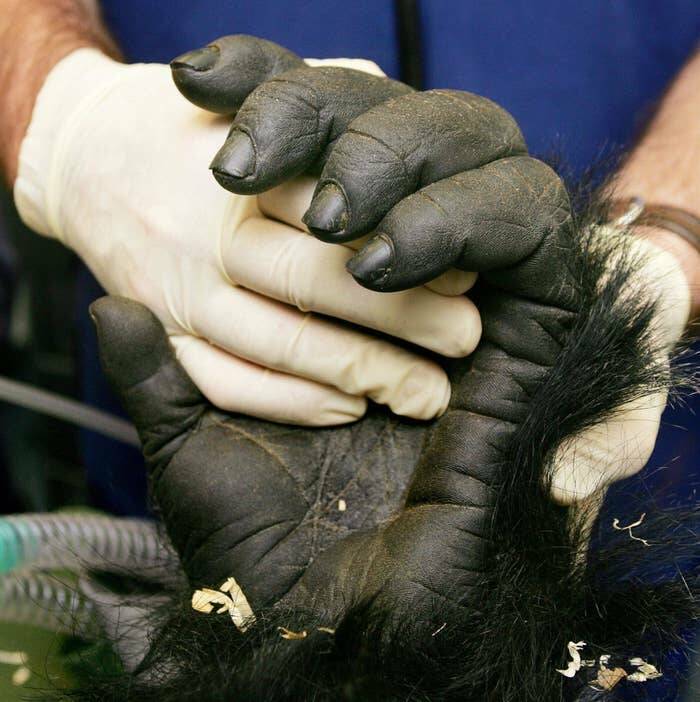 Fascinating Images That Will Totally Destroy Your Understanding Of Reality