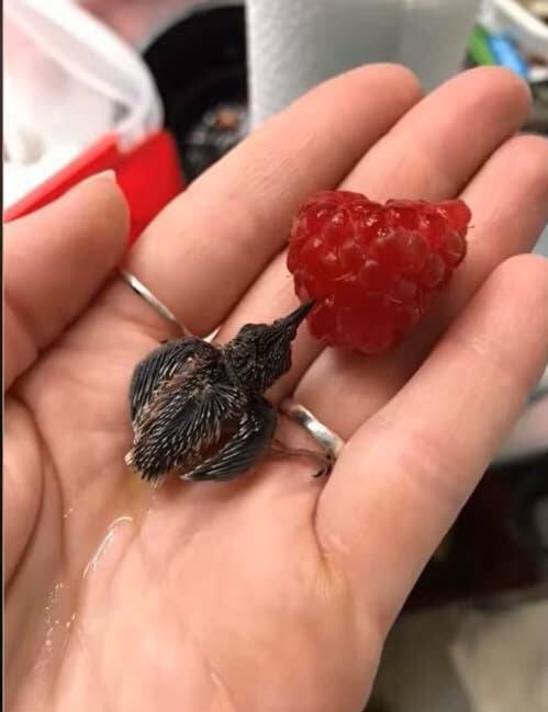 Fascinating Images That Will Totally Destroy Your Understanding Of Reality