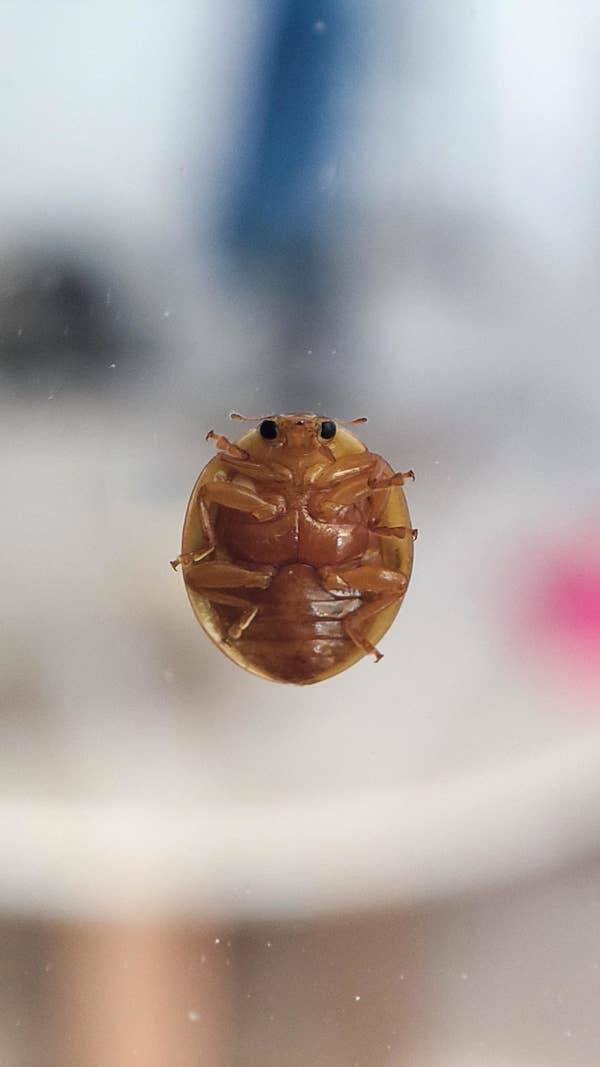 Fascinating Images That Will Totally Destroy Your Understanding Of Reality