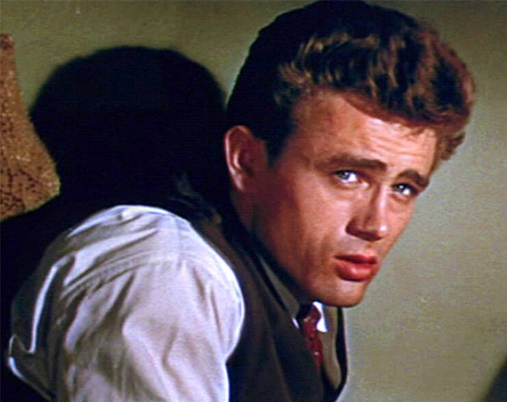 “Today I Learned” Discoveries That Sound Unreal—But Are 100% True