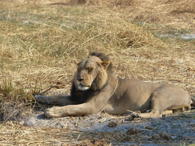 Today’s Most Eye-Catching Moments