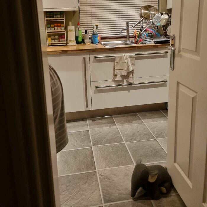 Epic Whoopsies You Can’t Help But Laugh At