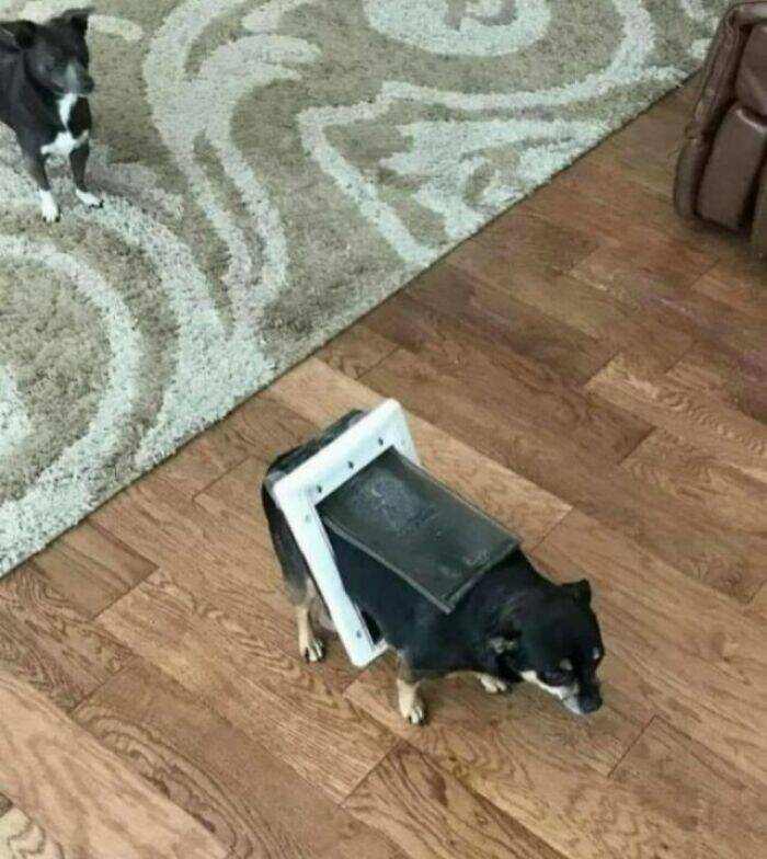 Epic Whoopsies You Can’t Help But Laugh At