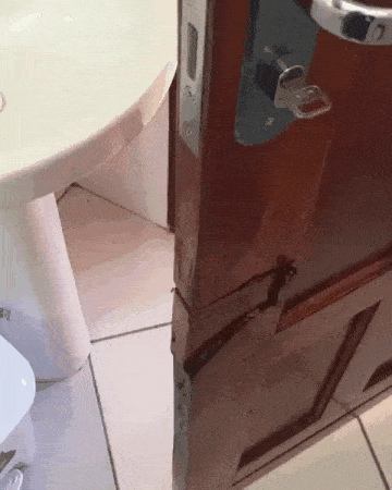 Daily Gifdump Daily Gifdump