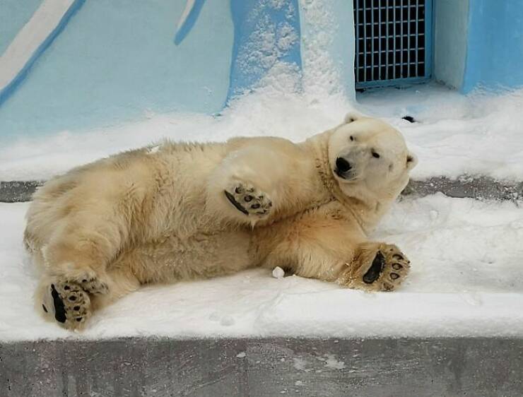 Cultural Habits That Leave Tourists Completely Confused