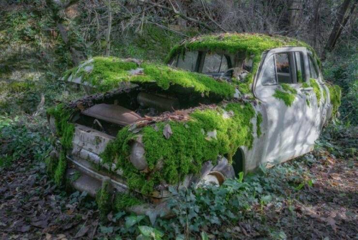 Daily Picdump Daily Picdump