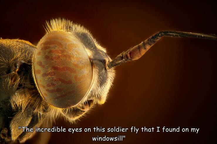 Daily Picdump Daily Picdump