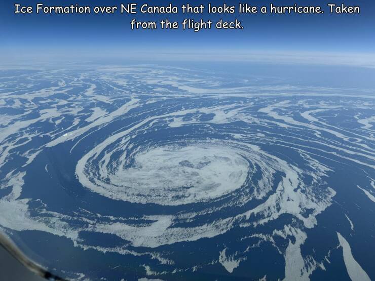 Daily Picdump Daily Picdump