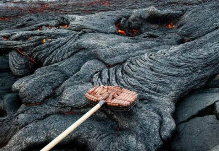 Daily Picdump Daily Picdump