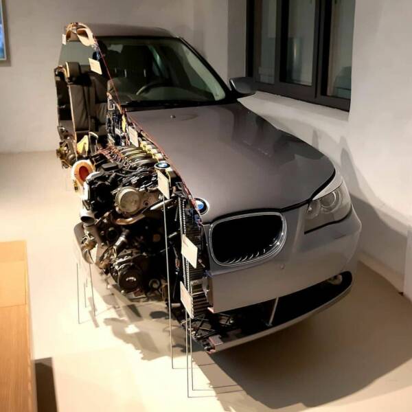 Daily Picdump Daily Picdump