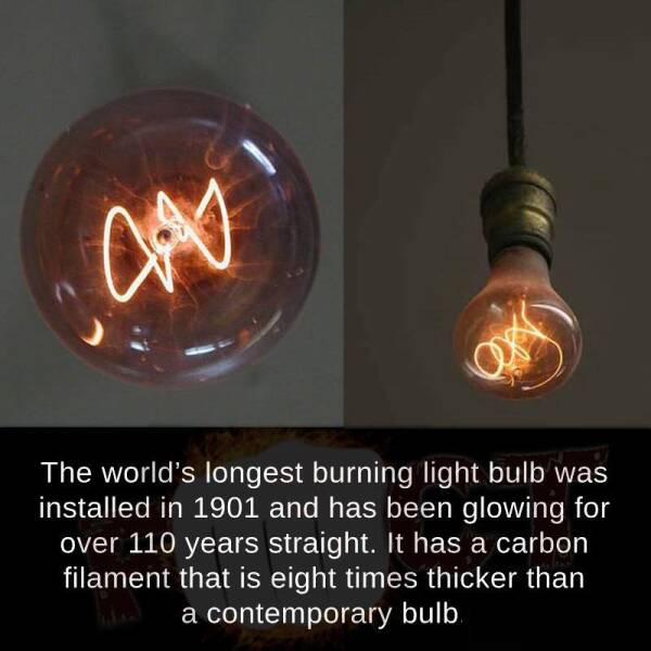 Daily Picdump Daily Picdump