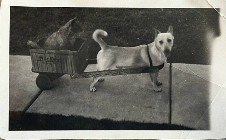 Daily Picdump Daily Picdump