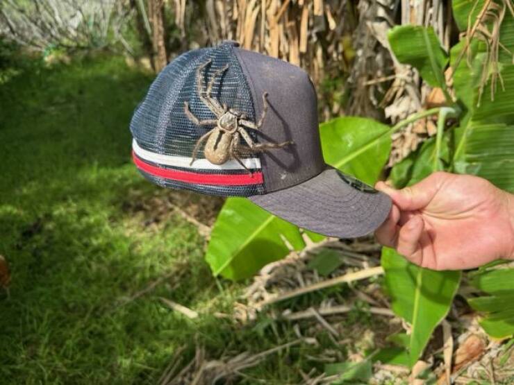 Daily Picdump Daily Picdump