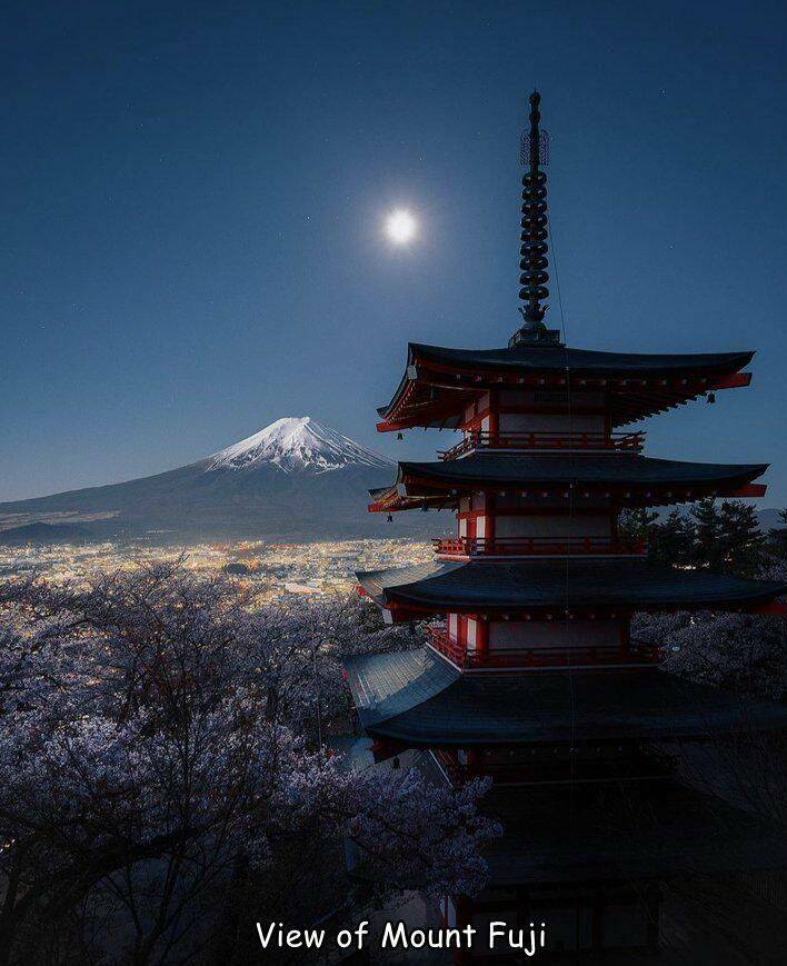 Daily Picdump Daily Picdump