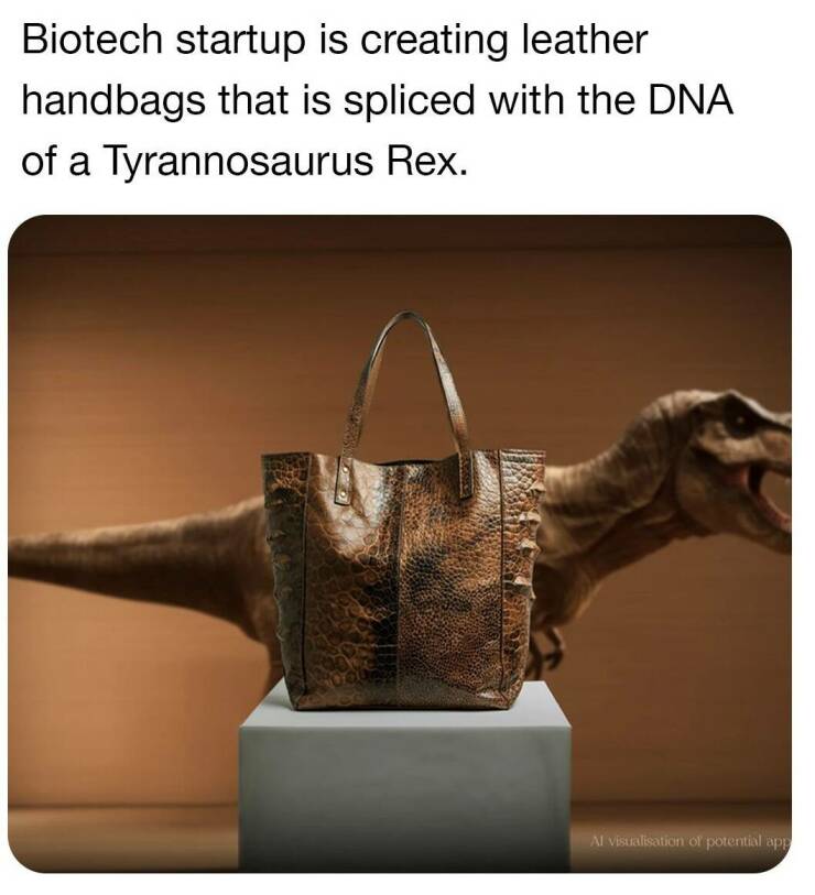 Daily Picdump Daily Picdump