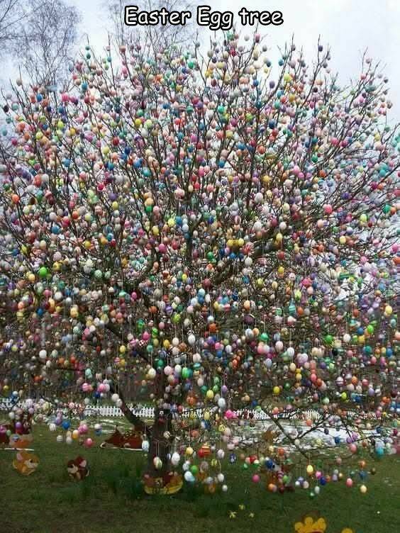 Daily Picdump Daily Picdump