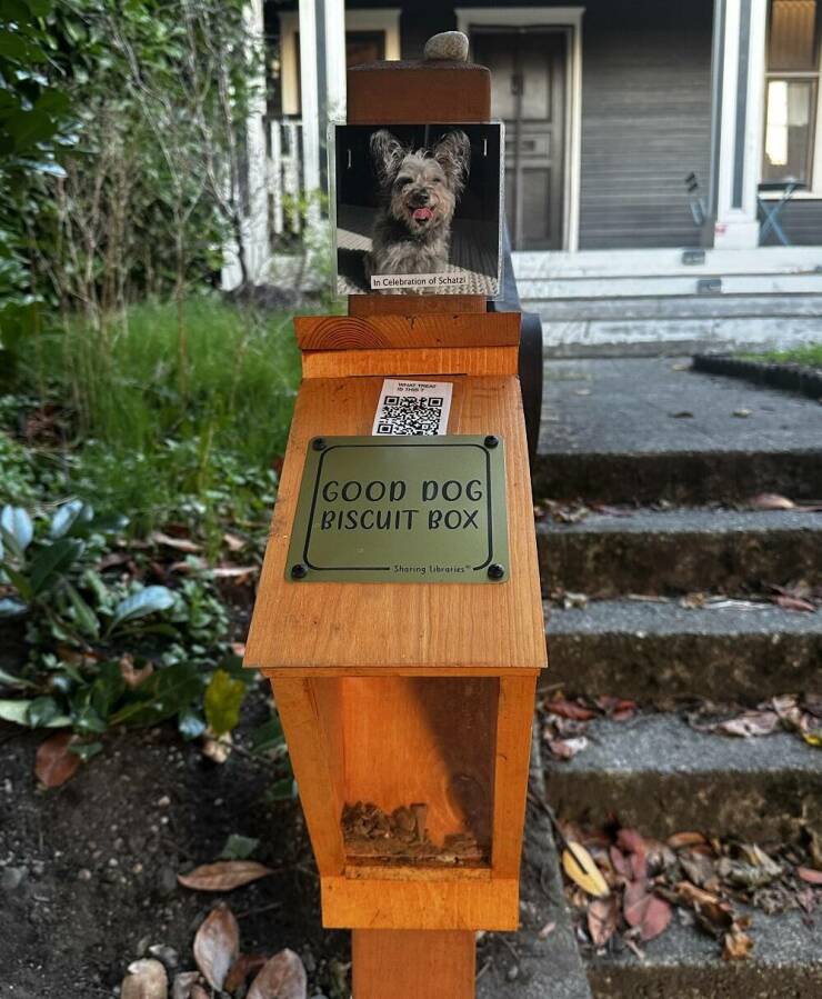 Daily Picdump Daily Picdump