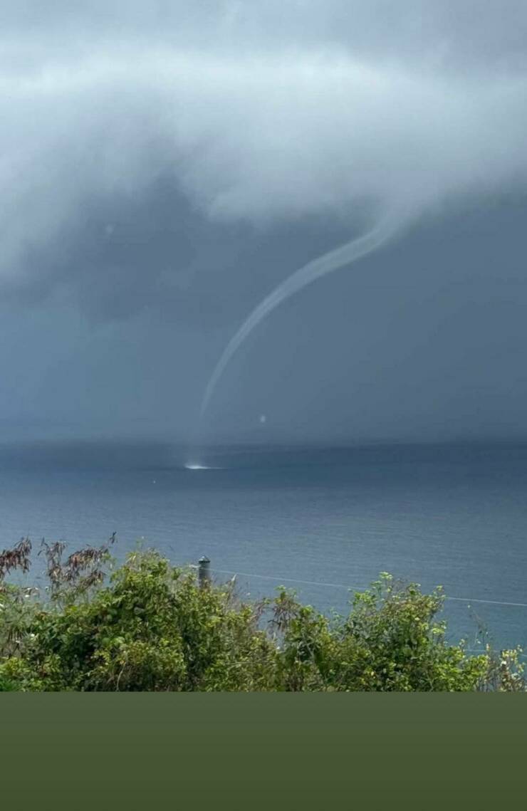 Daily Picdump Daily Picdump