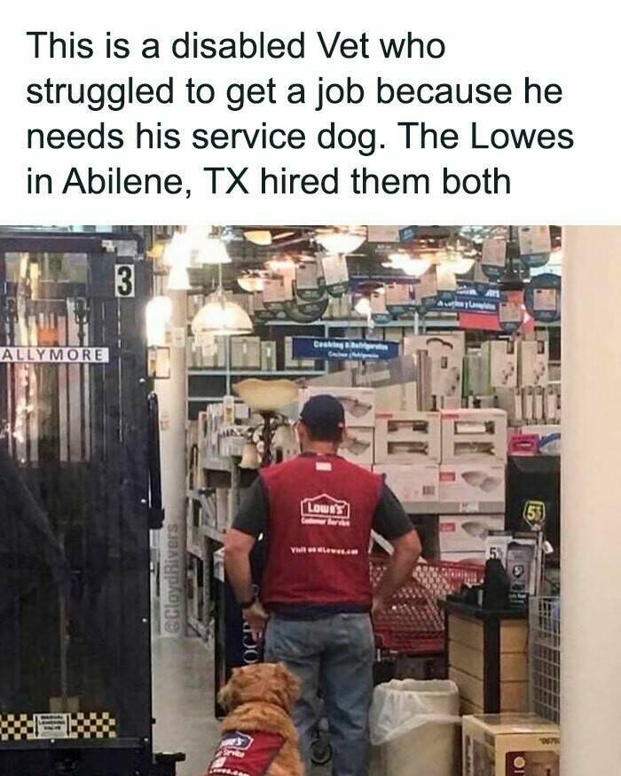 Good Vibes Memes Good Vibes Memes