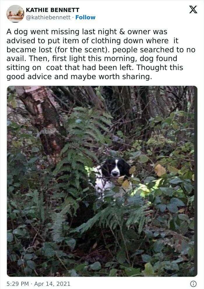 Good Vibes Memes Good Vibes Memes