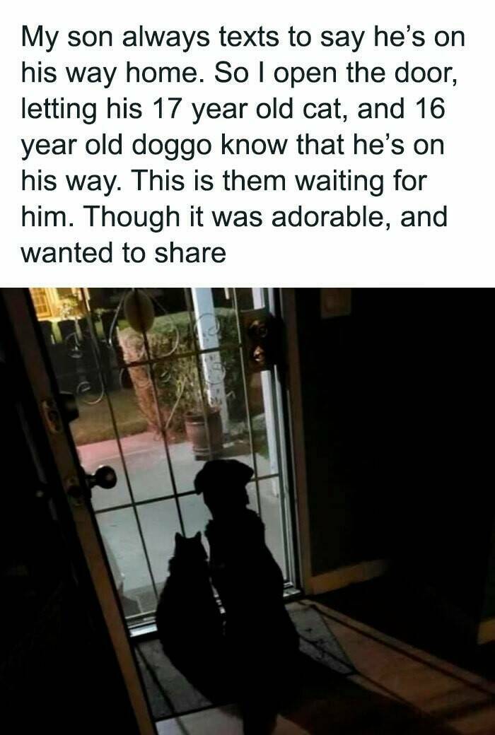 Good Vibes Memes Good Vibes Memes