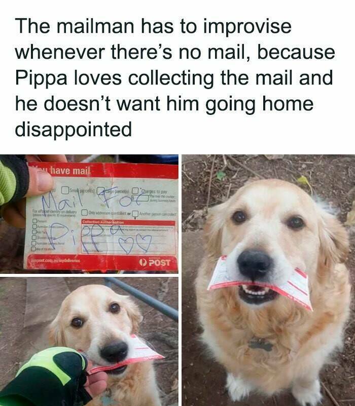 Good Vibes Memes Good Vibes Memes