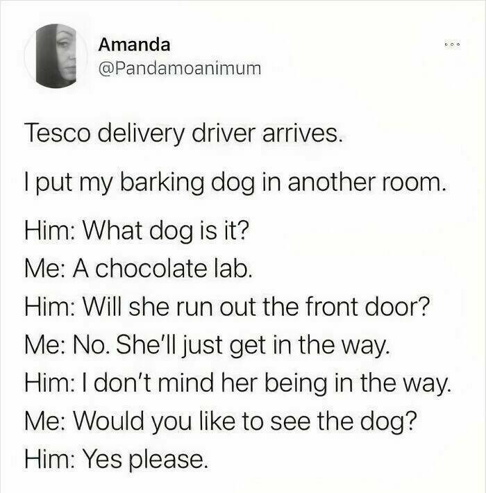 Good Vibes Memes Good Vibes Memes