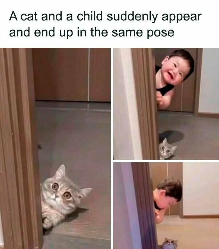 Good Vibes Memes Good Vibes Memes