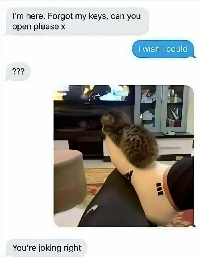 Good Vibes Memes Good Vibes Memes