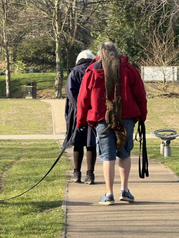 Haircuts That Should Be Illegal