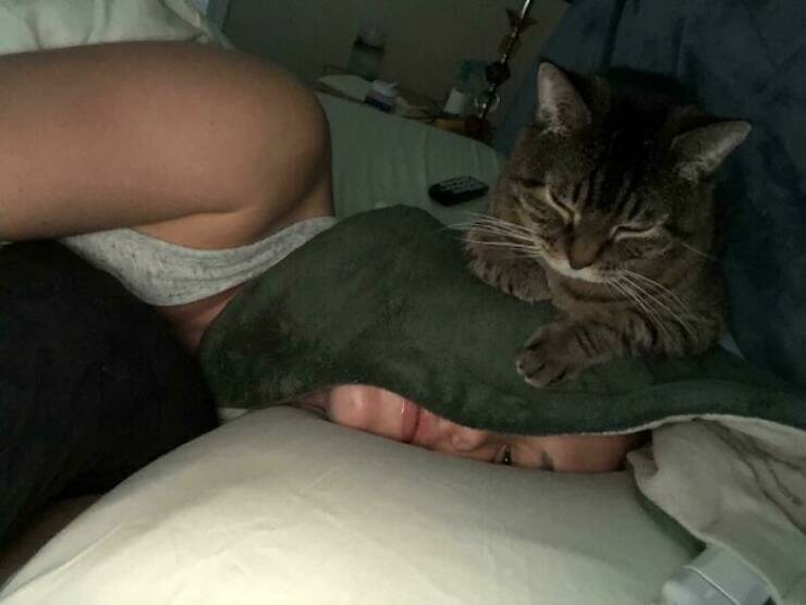 Let’s Give It Up for The Furry Stars Of The Screen